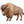 How to Draw a Bison – Easy Step-by-Step Wildlife Drawing for Kids