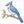 How to Draw a Blue Jay – Easy Step-by-Step Bird Drawing for Kids