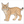 How to Draw a Bobcat – Easy Step-by-Step Wild Cat Drawing for Kids