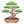 Step-by-step bonsai tree drawing tutorial for kids showing how to draw a bonsai tree with simple shapes and easy lines.