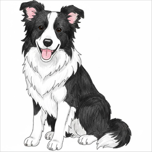 How to draw a border collie step-by-step for kids in an easy dog drawing tutorial using simple shapes and lines.