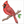 How to draw a cardinal easily for kids using basic shapes and structured drawing steps.