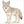 How to draw a coyote easily with simple step-by-step instructions for children learning animal drawing.