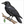 Learn how to draw a crow with easy step-by-step bird drawing lessons for beginners and kids.