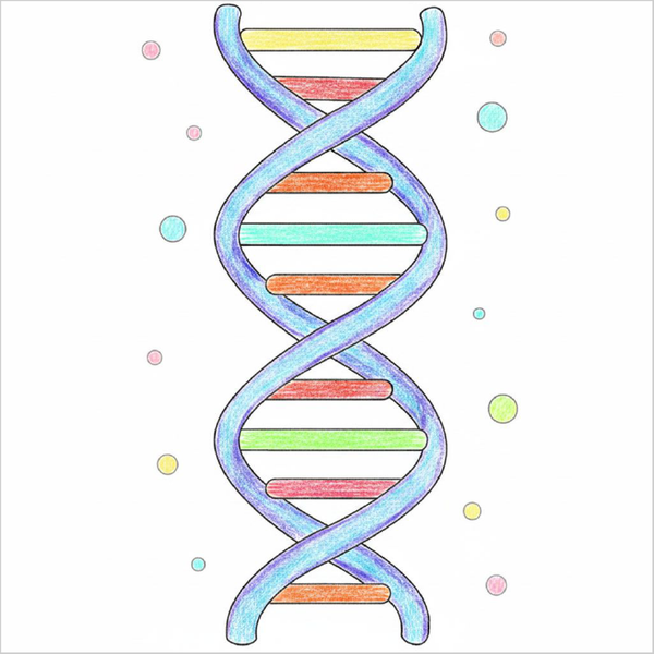 How to Draw DNA – Easy Step-by-Step Science Drawing for Kids