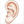 Simple ear illustration for children.