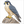 How to Draw a Falcon – Easy Step-by-Step Bird Drawing for Kids