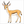 Easy gazelle drawing for children