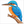 How to Draw a Kingfisher –Simple Step-by-Step Bird Drawing for Kids
