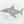 How to Draw a Megalodon – Easy Step-by-Step Shark Drawing for Kids