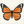 Cute Monarch Butterfly sketch easy for children to enjoy.