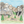 How to Draw Mount Rushmore – Step-by-Step Landmark Drawing for Kids