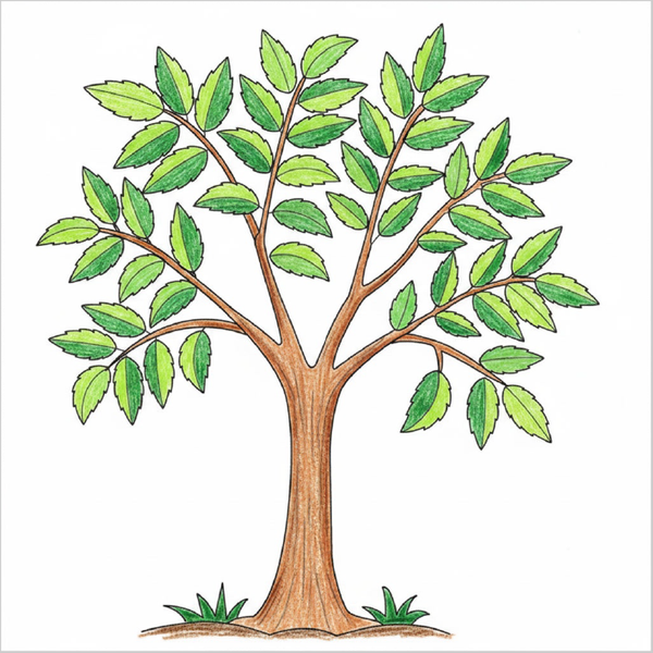 How to Draw a Neem Tree – Simple Step-by-Step Tree Drawing for Kids