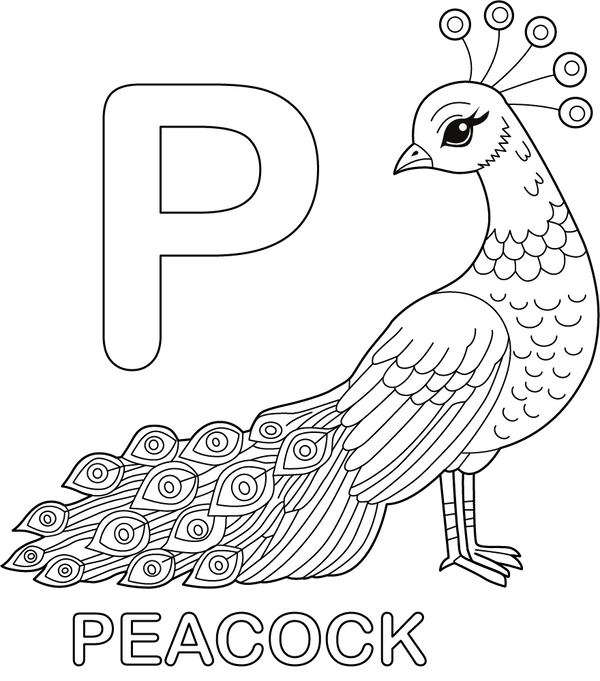 P for Peacock coloring page – fun and educational printable for children