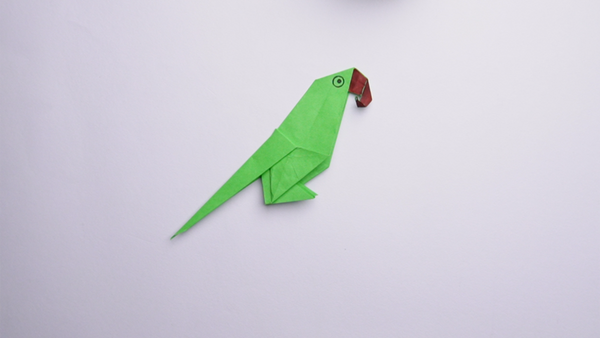 Paper Parrot Craft Thumb