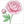 How to Draw a Peony – Easy Step-by-Step Flower Drawing for Kids