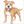 Simple Pitbull dog drawing with clear outlines.