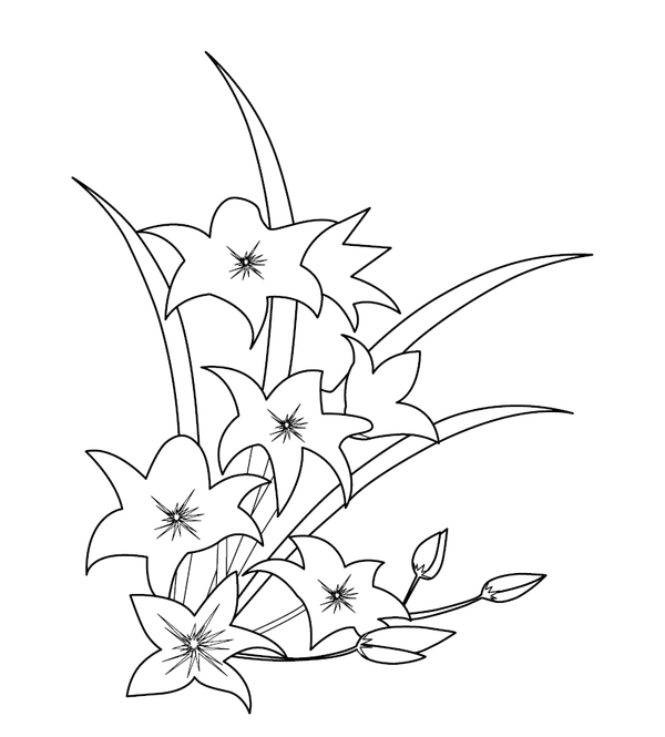Daffodils coloring page – fun and educational printable for children