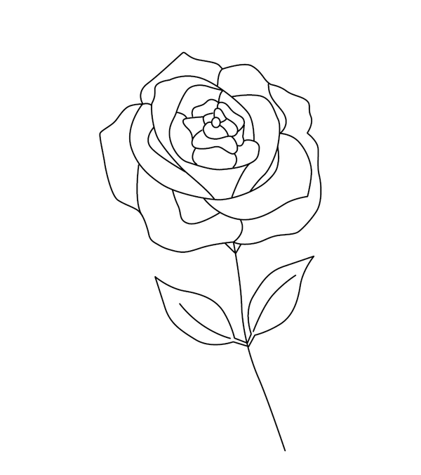 Beautiful rose coloring page – fun and educational printable for children