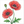How to Draw a Poppy Flower – Step-by-Step Flower Drawing for Kids