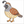 How to Draw a Quail – Easy Step-by-Step Bird Drawing for Kids