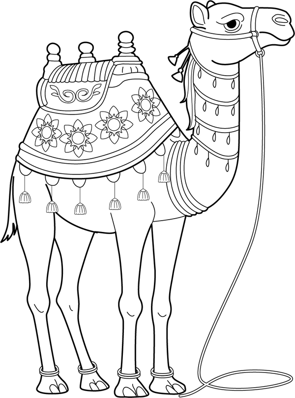 Rajasthan Camel coloring page – fun and educational printable for children