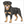 How to Draw a Rottweiler – Simple Step-by-Step Dog Drawing for Kids