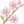 How to Draw a Sakura Blossom – An Easy Step-by-Step Flower Drawing for Kids