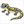 How to Draw a Salamander – Easy Step-by-Step Amphibian Drawing for Kids