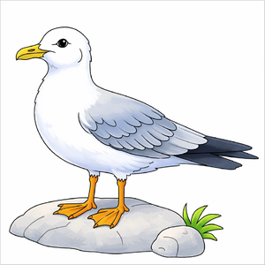 How to draw a seagull step by step for kids, easy bird drawing tutorial, simple flying seagull sketch guide for beginners