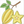 How to Draw a Star Fruit – Step-by-Step Fruit Drawing for Kids