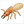 How to Draw a Termite – Easy Step-by-Step Insect Drawing for Kids