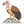 How to Draw a Vulture – Easy Step-by-Step Bird Drawing for Kids