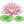 How to Draw a Water Lily – Easy Step-by-Step Flower Drawing for Kids