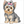 How to Draw a Yorkshire Terrier – Simple Step-by-Step Dog Drawing for Kids