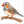 Step-by-step zebra finch drawing tutorial for kids showing how to draw a zebra finch with simple shapes, a small beak, striped markings, and detailed feathers.