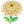 How to Draw a Chrysanthemum – Easy Step-by-Step Flower Drawing for Kids