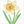 How to Draw Daffodils – Easy Step-by-Step Flower Drawing for Kids