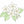 How to Draw a Jasmine Flower – Simple Step-by-Step Flower Drawing for Kids
