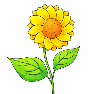 How to draw a sunflower step by step, easy sunflower drawing tutorial, simple flower sketch for kids and beginners