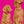 Pet Portraits in Warhol Style