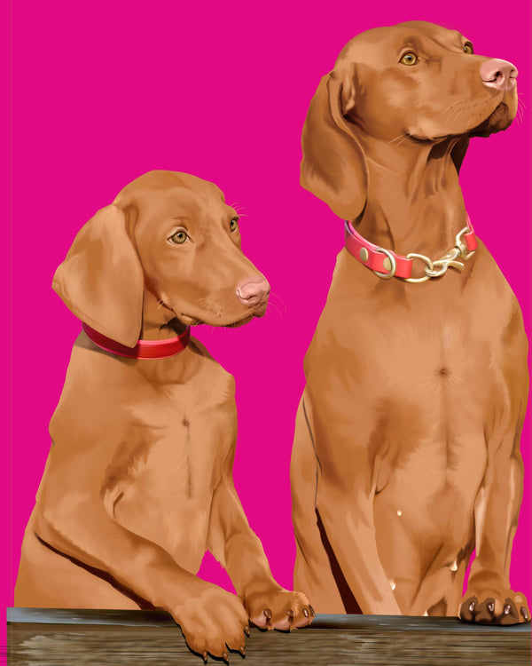 Pet Portraits in Warhol Style