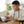 Fun Online Coding Classes For Kids!