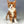 Portrait Artwork in Digital Pet Painting