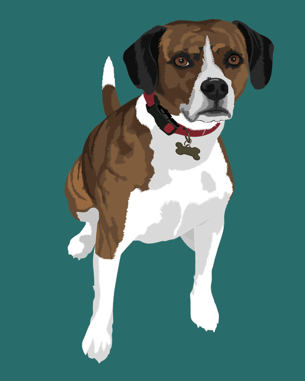 Order Pet Portraits in Warhol Style Online