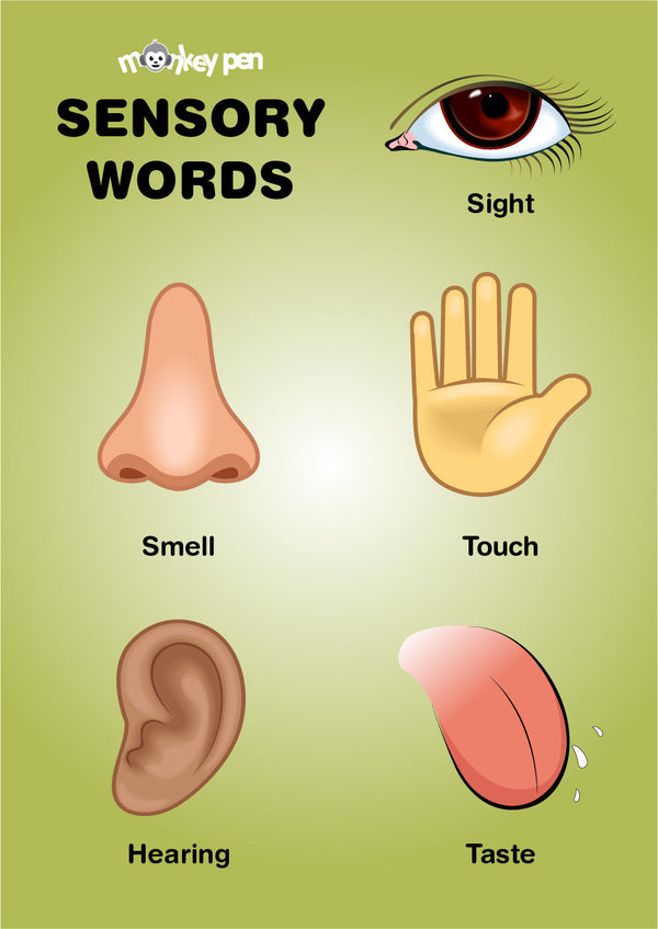 Sensory Words Poster showing illustrations for sight, smell, touch, hearing, and taste for kids learning about senses.