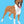 Warhol Style Pet Portraits